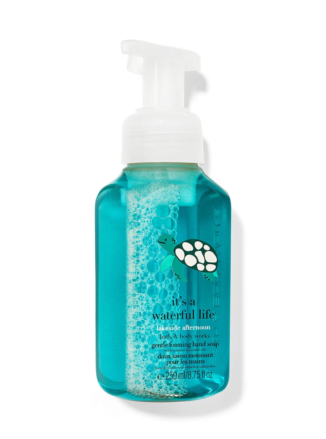 Lakeside Afternoon Gentle Foaming Hand Soap Bath And Body Works