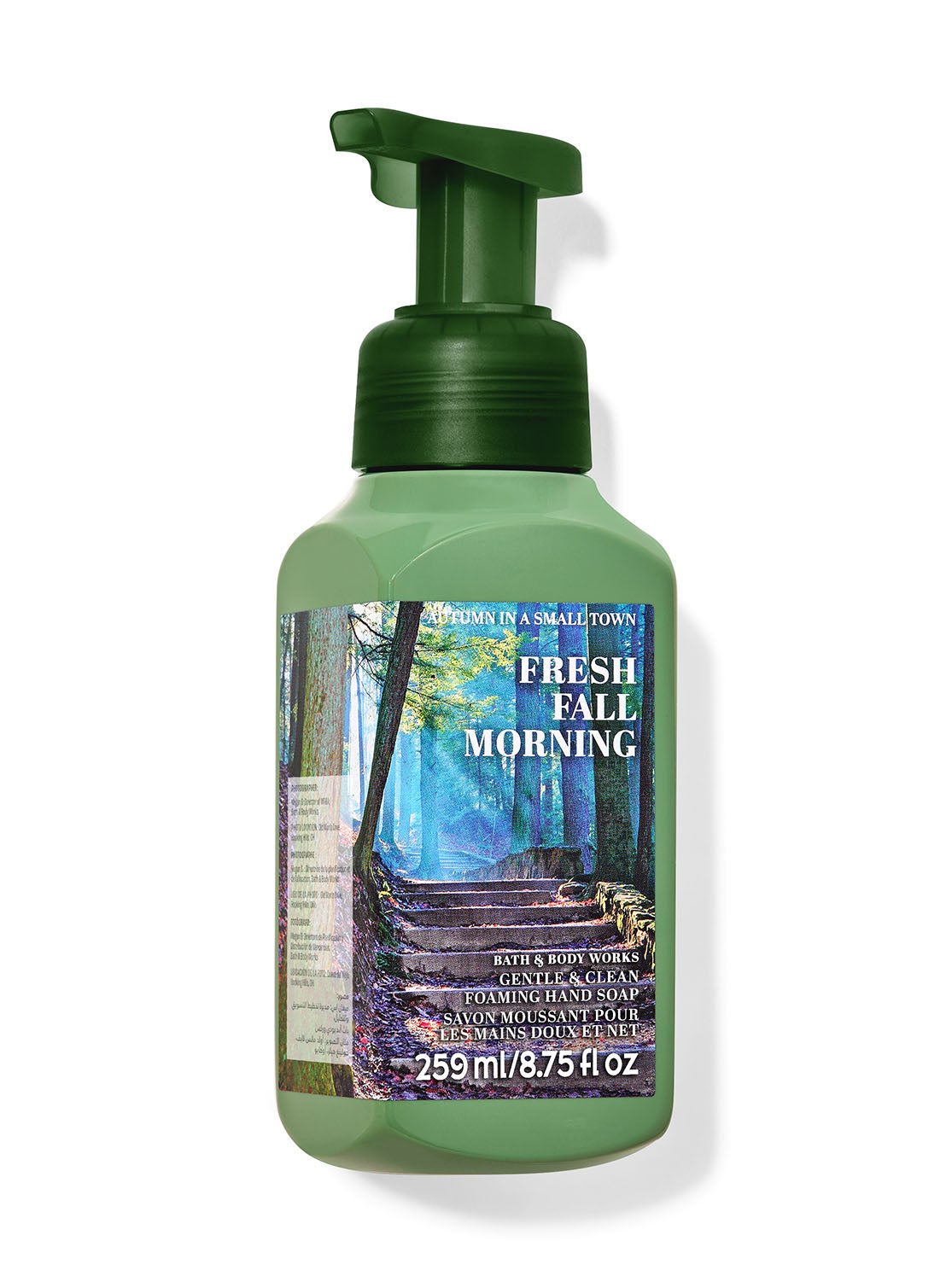 Fresh Fall Morning Gentle & Clean Foaming Hand Soap