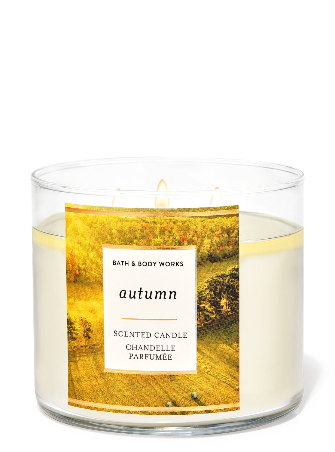 Autumn 3-Wick Candle | Bath and Body Works