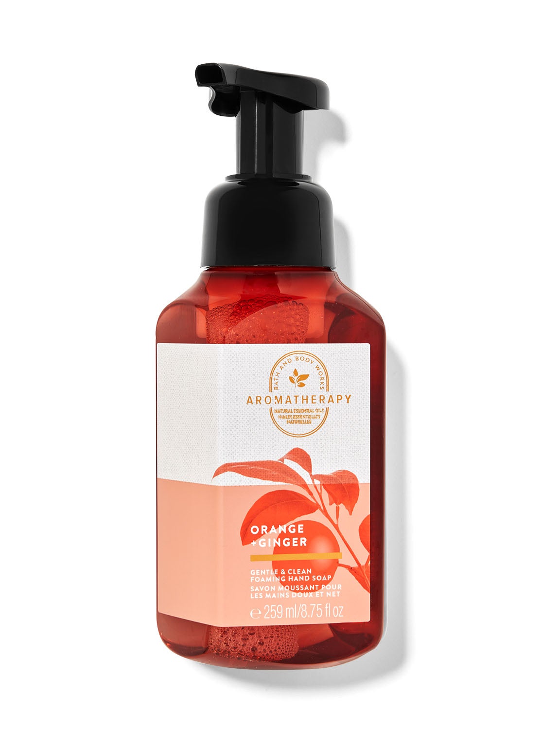 Orange Ginger Antibacterial Foaming Hand Soap – Rutledge Brands