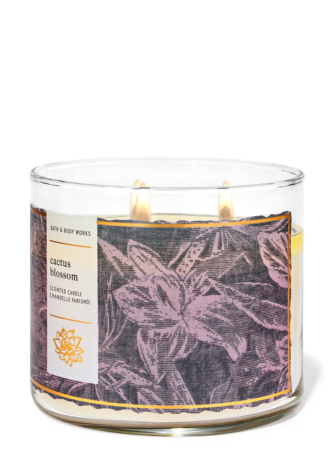 Cactus Blossom 3-Wick Candle | Bath and Body Works