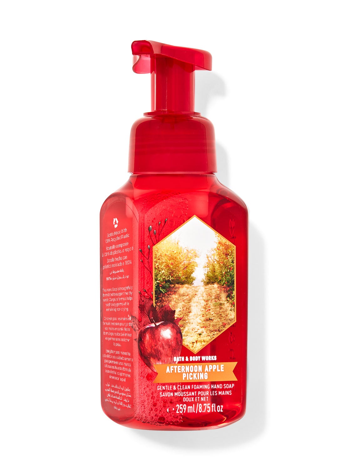 Afternoon Apple Picking Gentle And Clean Foaming Hand Soap Bath And