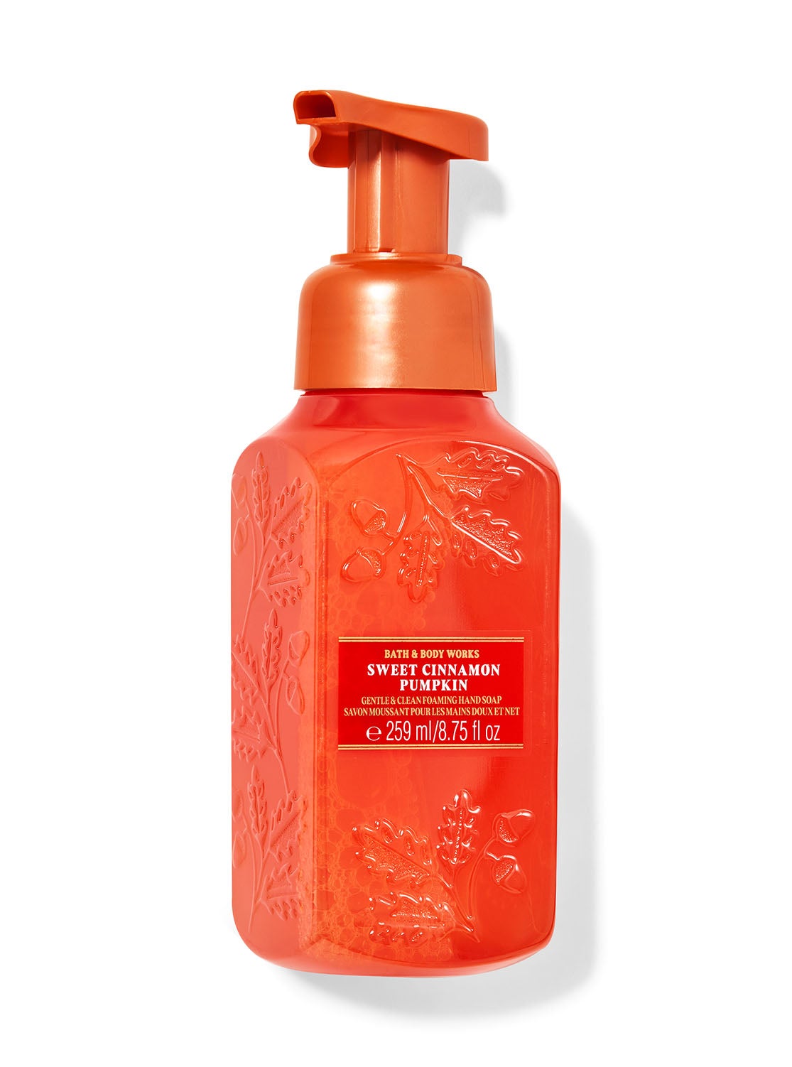 Sweet Cinnamon Pumpkin Gentle & Clean Foaming Hand Soap